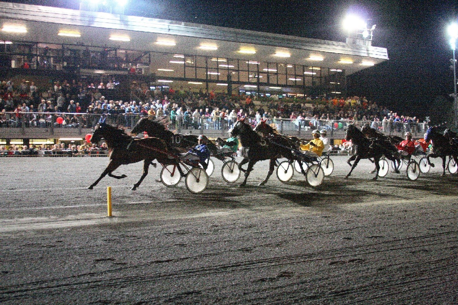 Finale del Campionato Guidatori all’Ippodromo di Montegiorgio