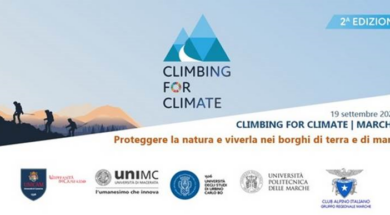 Climbing for Climate