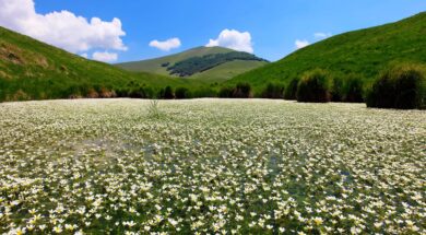 Settimana del Paesaggio