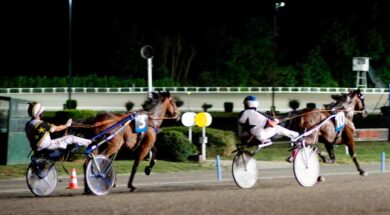 ippodromo san paolo