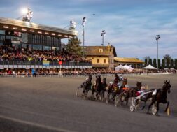 Ippodromo San Paolo Montegiogio