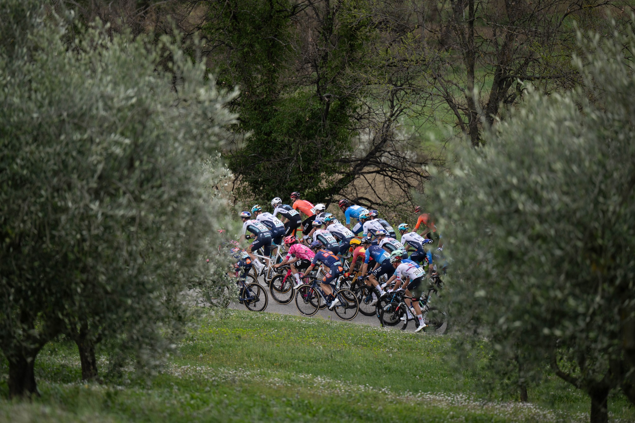 Tirreno Adriatico, la tappa più dura Cartoceto-Frontignano di Ussita